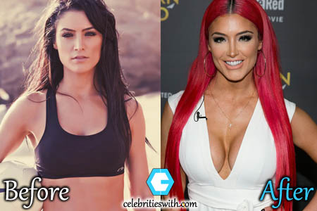 Eva Marie Plastic Surgery, Boob Job Eva Marie Plastic Surgery