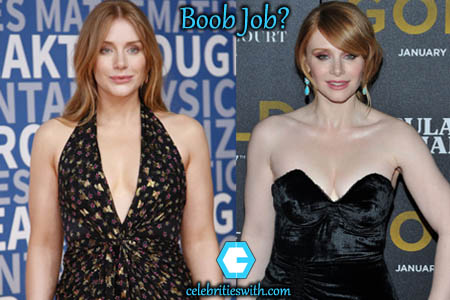Bryce Dallas Howard Boob Job Bryce Dallas Howard Plastic Surgery