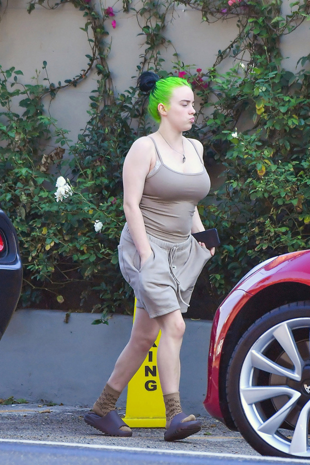 Billie Eilish Plastic Surgery Body