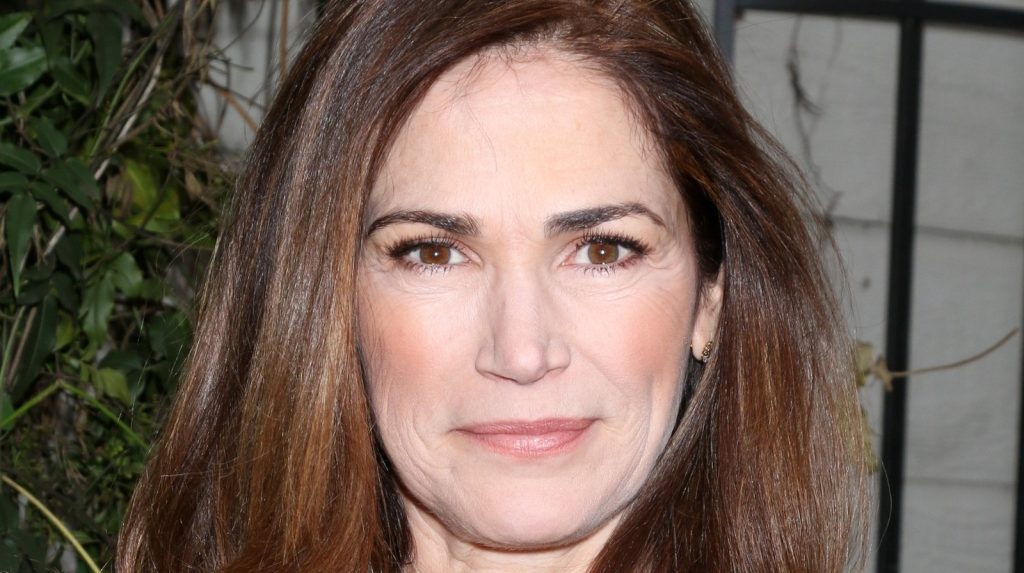 Kim Delaney Cosmetic Surgery Face