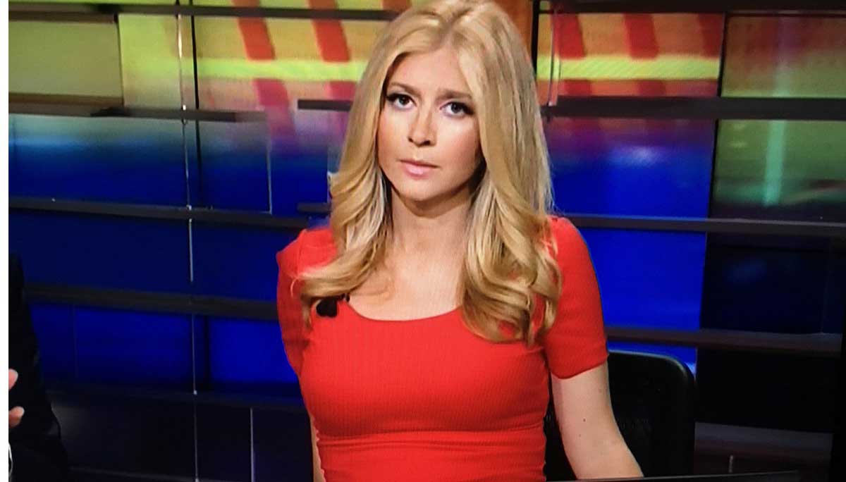 Sara Eisen Plastic Surgery and Body Measurements