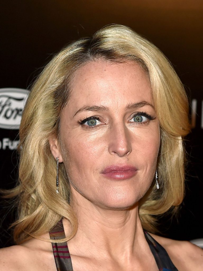 Gillian Anderson Cosmetic Surgery Face