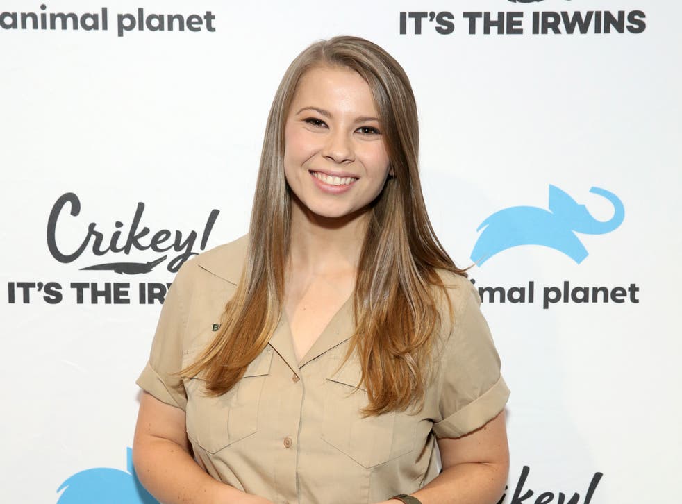 Bindi Irwin Plastic Surgery Procedures