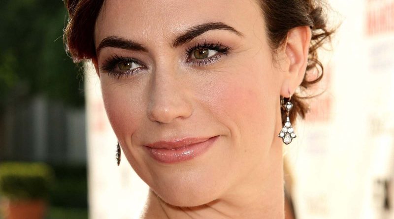 Maggie Siff Cosmetic Surgery