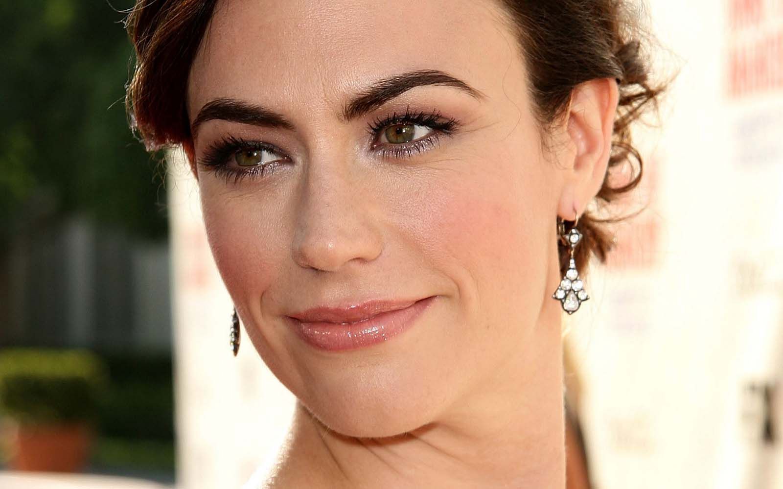 Maggie Siff Cosmetic Surgery