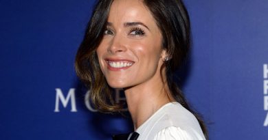 Abigail Spencer Cosmetic Surgery