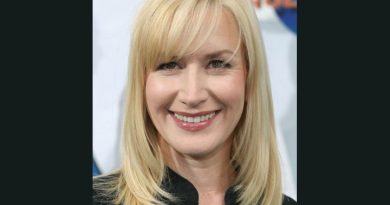 Angela Kinsey Plastic Surgery