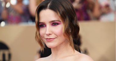 Sophia Bush Plastic Surgery Procedures