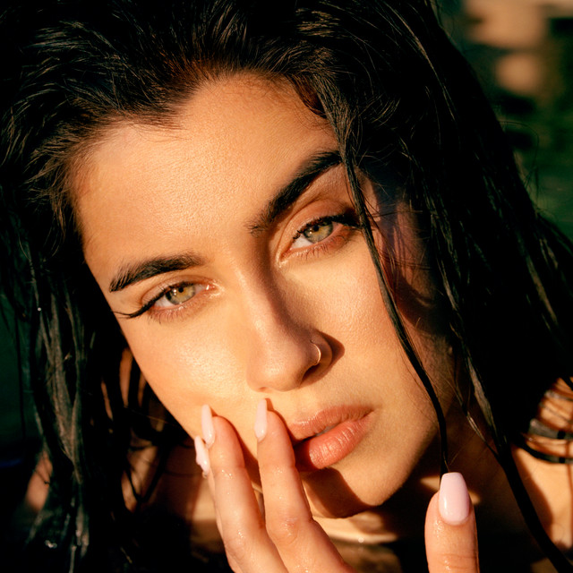 Lauren Jauregui Plastic Surgery Face