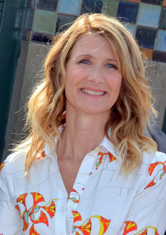 Laura Dern Cosmetic Surgery Face