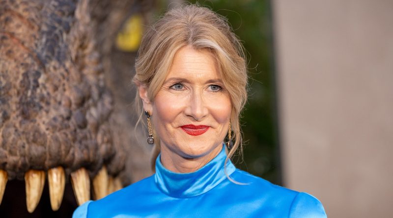 Laura Dern Plastic Surgery and Body Measurements