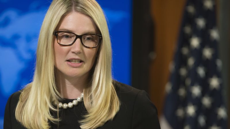 Marie Harf Plastic Surgery Face