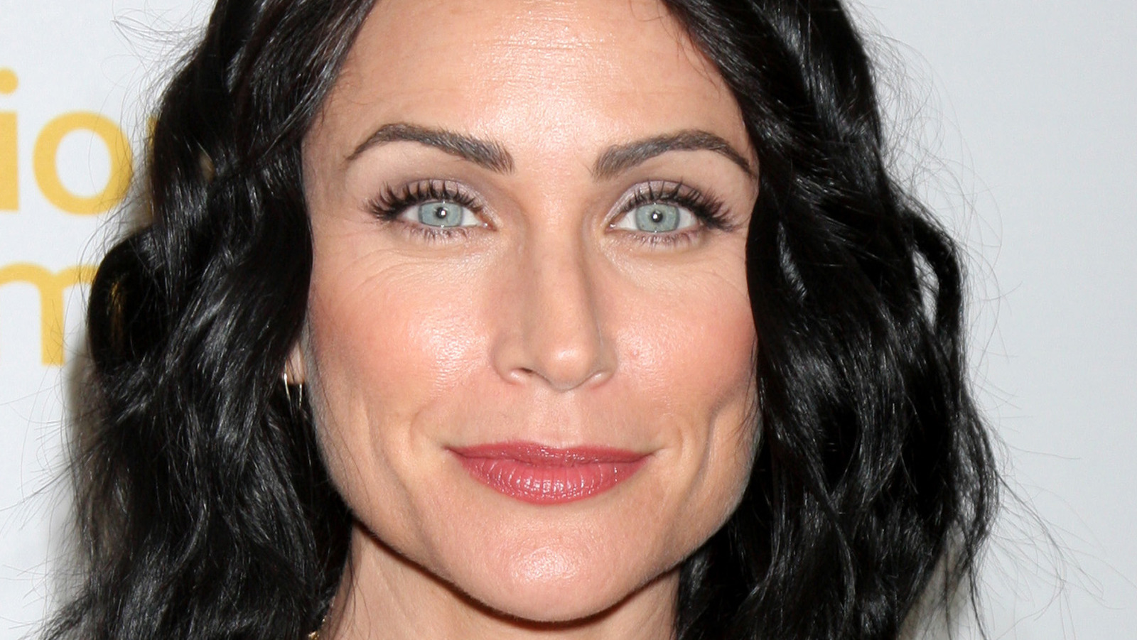 Rena Sofer Cosmetic Surgery