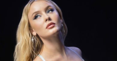 Zara Larsson Plastic Surgery and Body Measurements