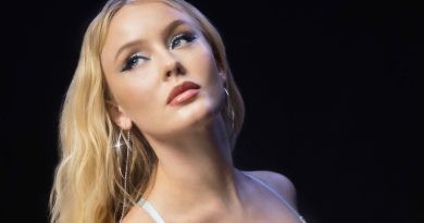 Zara Larsson Plastic Surgery and Body Measurements
