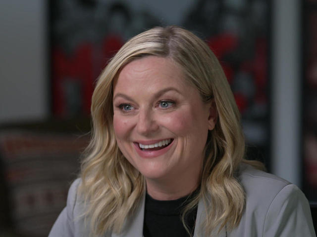 Amy Poehler Plastic Surgery Face