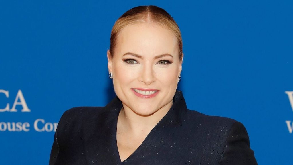 Meghan McCain Plastic Surgery Face