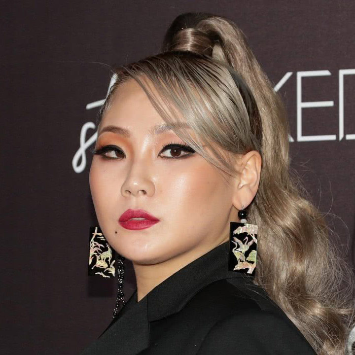 CL Cosmetic Surgery Face
