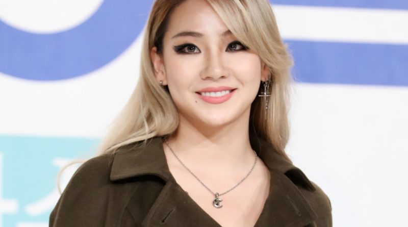 CL Plastic Surgery and Body Measurements
