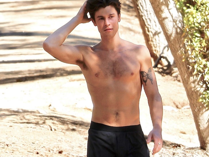 Shawn Mendes Plastic Surgery Body