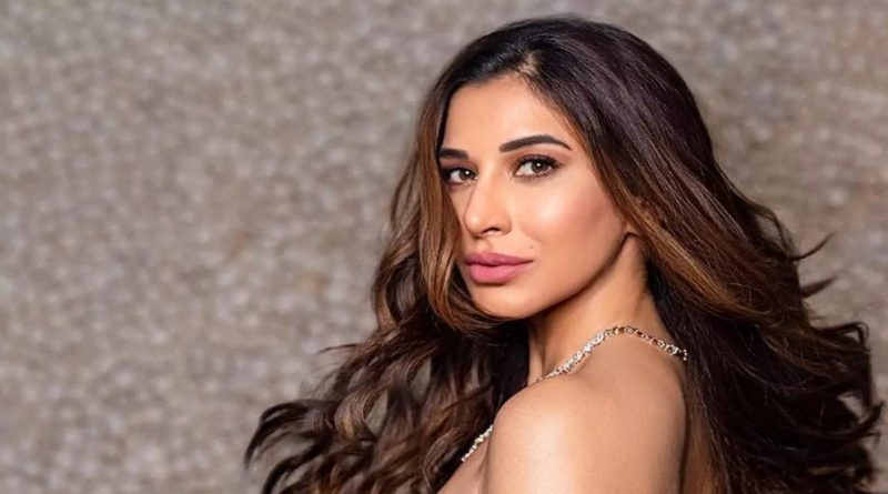 Sophie Choudry Plastic Surgery Procedures