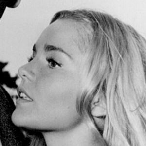 Tuesday Weld Plastic Surgery Face