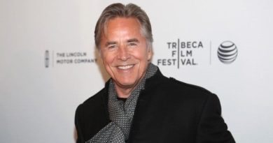 Don Johnson Plastic Surgery and Body Measurements