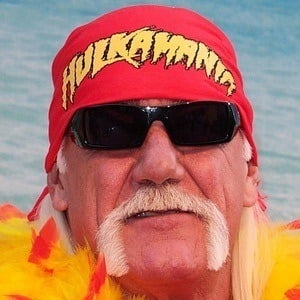 Hulk Hogan Plastic Surgery