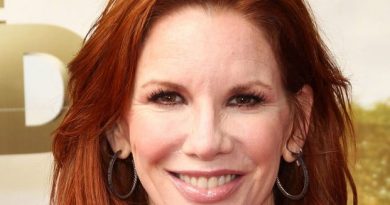 Melissa Gilbert Nose Job