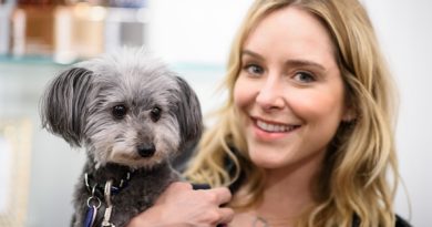 Jenny Mollen Plastic Surgery Procedures