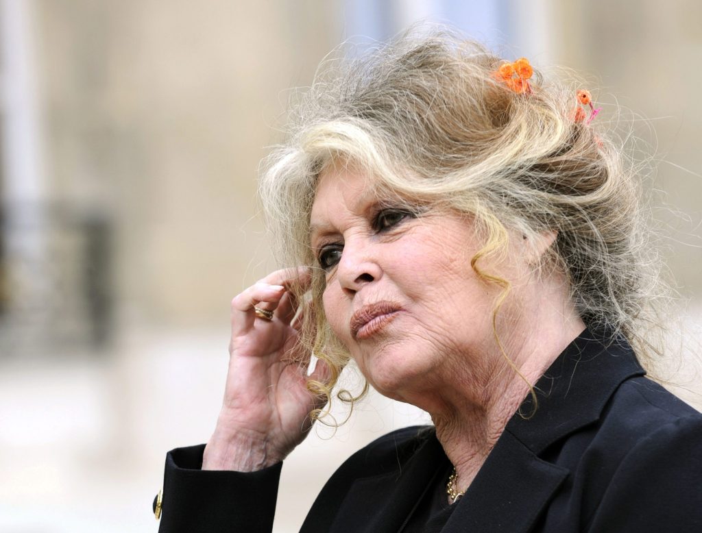 Brigitte Bardot Cosmetic Surgery Face