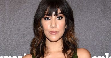 Stephanie Beatriz Plastic Surgery