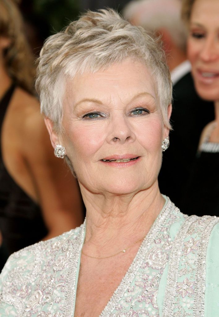 Judi Dench Cosmetic Surgery Face