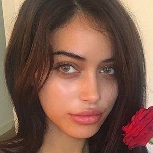 Cindy Kimberly Plastic Surgery Procedures